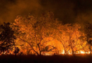 Governo anuncia crédito extraordinário de R$ 514 milhões para combater incêndios