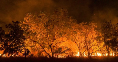 Governo anuncia crédito extraordinário de R$ 514 milhões para combater incêndios