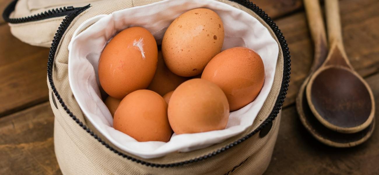 Preço do ovo sobe quase 20% em março; entenda quando pode cair