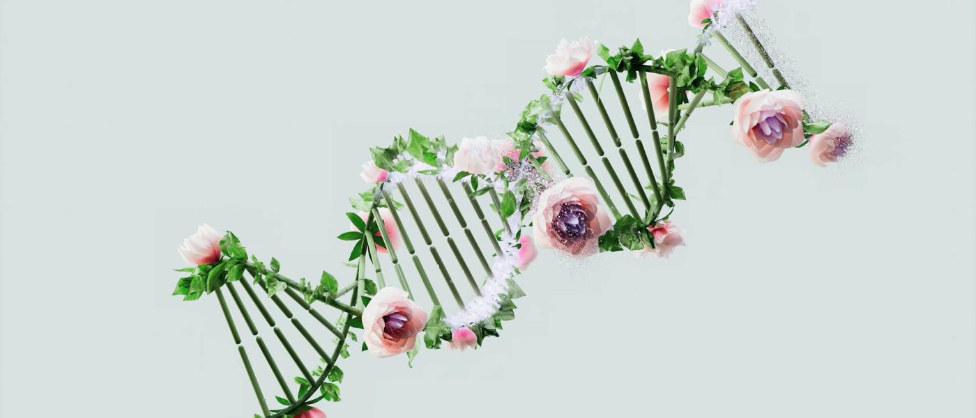 Inteligência é herdada da mãe? O que diz a ciência