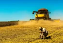 Acordo entre China e EUA ‘muda o jogo’ e movimenta o mercado global da soja