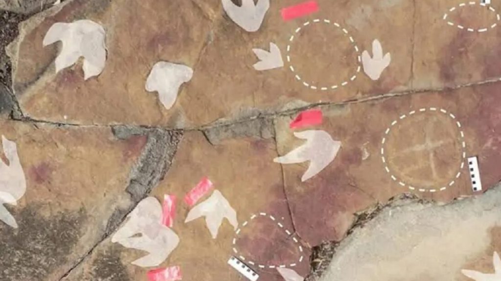 Descoberta arqueológica na Paraíba é reconhecida como uma das mais importantes do mundo por revista internacional Descoberta arqueológica na Paraíba é reconhecida como uma das mais importantes do mundo por revista internacional