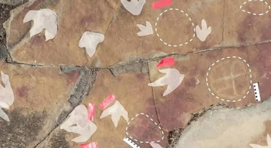 Descoberta arqueológica na Paraíba é reconhecida como uma das mais importantes do mundo por revista internacional