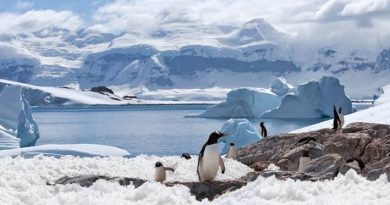 Antártida Surpreende com Crescimento de Gelo: Fenômeno Intriga Cientistas e Alerta para Novas Perspectivas Climáticas