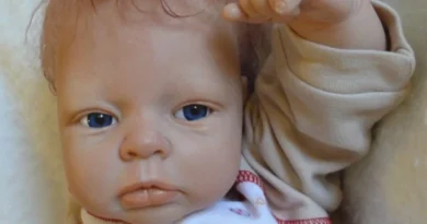 Justiça nega direitos trabalhistas a quem cria bebê reborn como filho