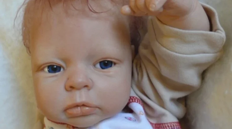 Justiça nega direitos trabalhistas a quem cria bebê reborn como filho