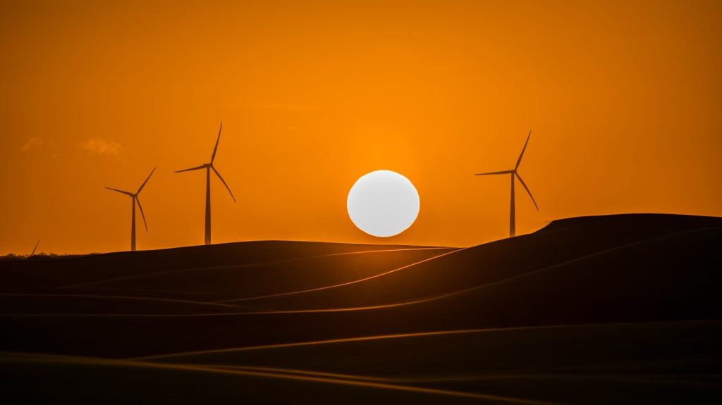 Sicredi Abre Concurso Fotográfico 2025 com Tema “Nordeste Iluminado”