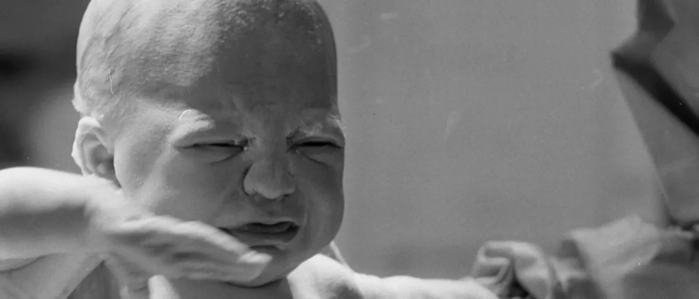 A magia do filme: por que a fotografia analógica está voltando com tudo