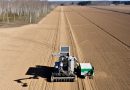 Robô Brasileiro Planta 14 Mil Árvores por Dia e Revoluciona Reflorestamento