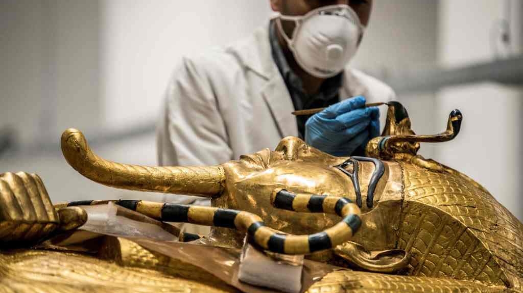 “Maldição do faraó”: fungo letal pode se transformar em arma contra o câncer