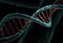 DNA Único de 6 Mil Anos Revela Mistério de Povo Desaparecido na Colômbia