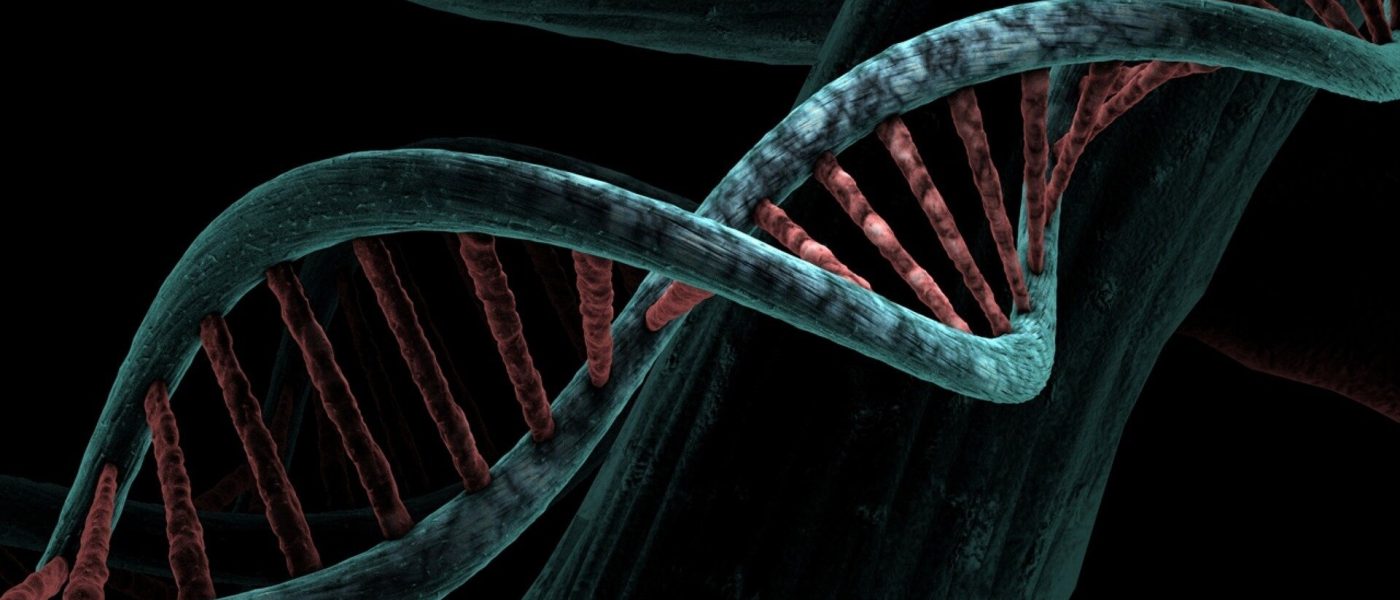 DNA Único de 6 Mil Anos Revela Mistério de Povo Desaparecido na Colômbia