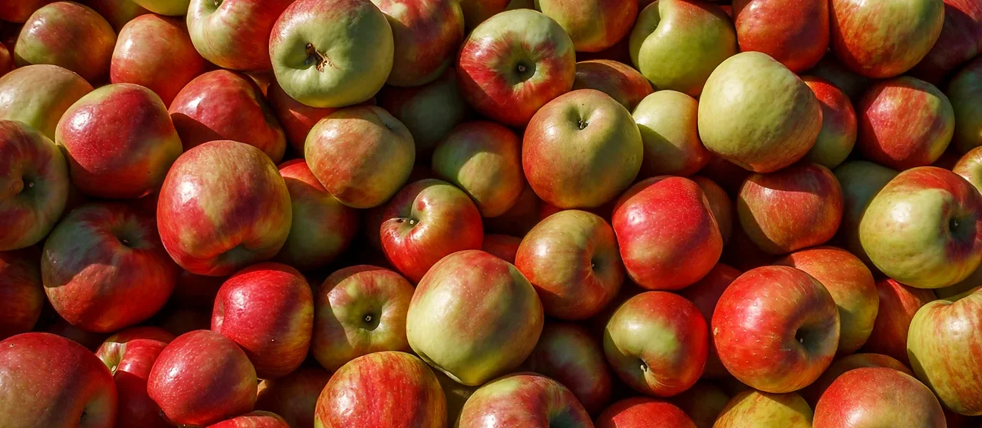 O Poder da Maçã: O que a Ciência Diz Sobre o Ditado Popular