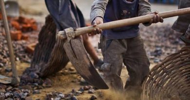 Brasil Tem 1,6 Milhão de Pessoas em Trabalho Análogo à Escravidão Brasil Tem 1,6 Milhão de Pessoas em Trabalho Análogo à Escravidão