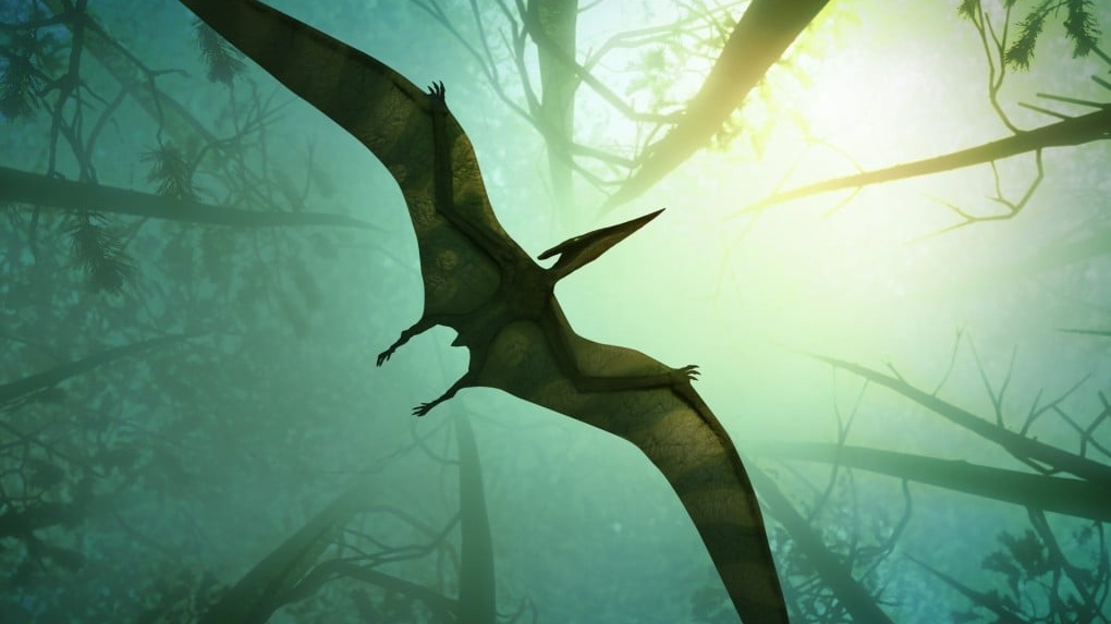 Parceria Científica Brasil China revela algo inédito sobre o Pterosaur chinês