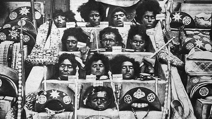 A saga dos crânios de Lampião e Maria Bonita: de segredo de família a objeto de estudo da USP