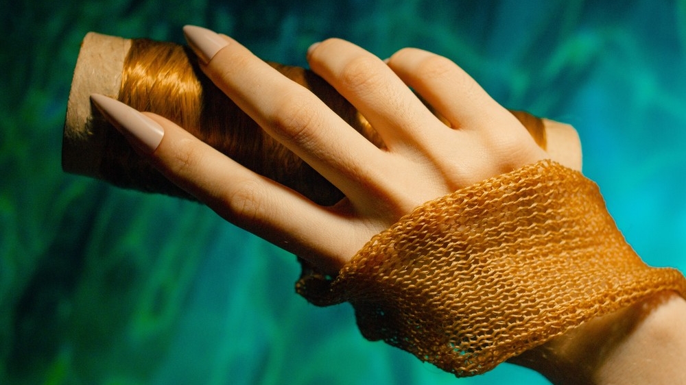 Da Paraíba para o Mundo: Pesquisadora Cria Tecido de Alga Marinha e Revoluciona a Moda Sustentável