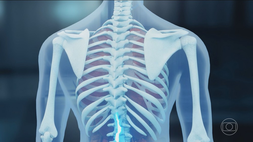 Esperança na Ciência Brasileira: Proteína da Placenta Ajuda a Regenerar Lesões na Medula e Devolve Movimentos