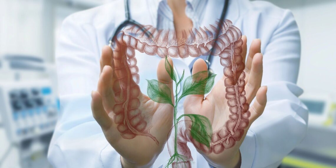 O segredo para uma barriga saudável: o chá noturno que desinflama o intestino e previne o inchaço enquanto você dorme