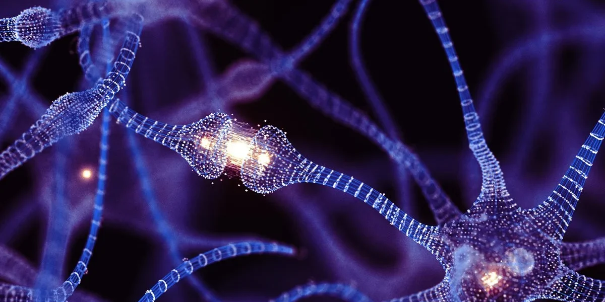 Nanotubos entre neurônios revelam nova forma de comunicação no cérebro humano