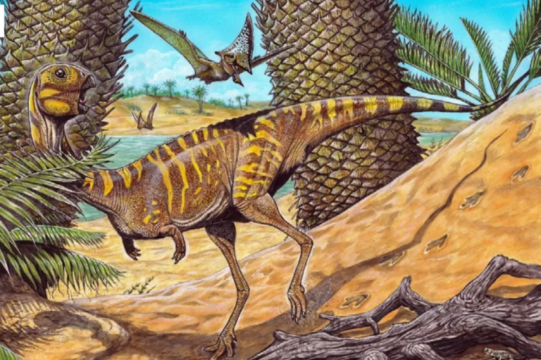 Pesquisadores Descobrem Detalhes de Dinossauro de 90 Mi de Anos no Brasil