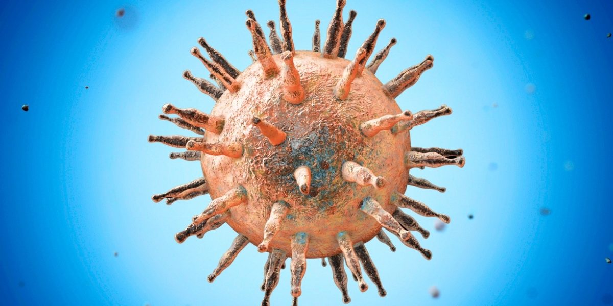 Epstein-Barr: vírus comum pode ser a causa central do lúpus, diz estudo de Stanford