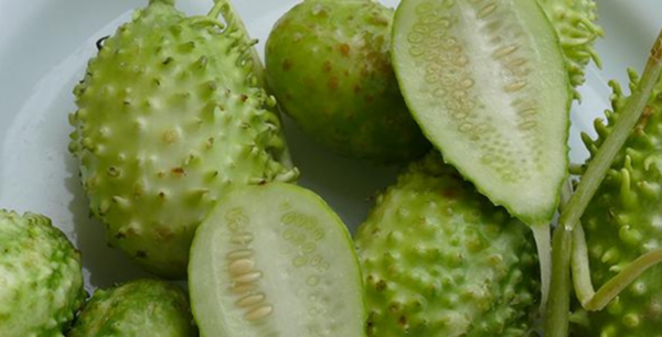 Maxixe: o superalimento que une tradição nordestina e saúde preventiva