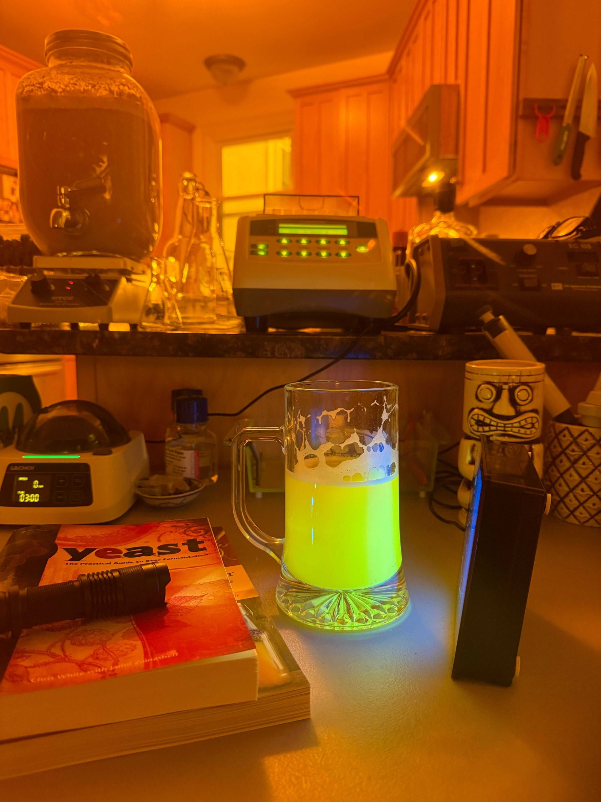 Cerveja-vacina? Cientista causa polêmica ao criar imunizante caseiro