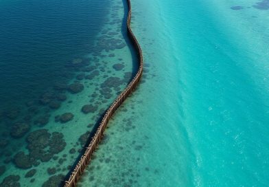 Muralha de bambu: Tailândia revoluciona defesa costeira