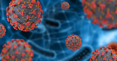 Mpox: 88 novos casos no Brasil em 2026, com epicentro em São Paulo Mpox: 88 novos casos no Brasil em 2026, com epicentro em São Paulo