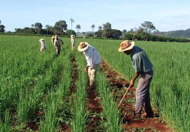 Paraíba: Assentamento Elizabeth Teixeira garante futuro a 21 famílias