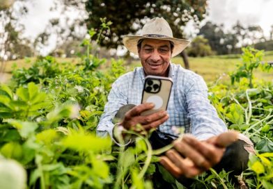R$ 2 Bilhões em Conectividade: Leilão da Anatel muda o jogo no Brasil