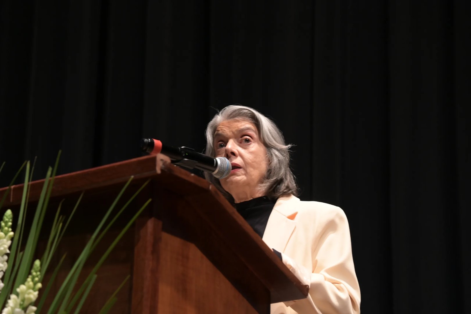 Cármen Lúcia: Brasil pode ser modelo de sociedade democrática