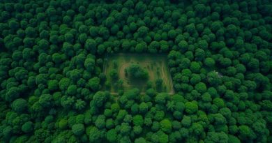 Google e Governo Unem Forças por Imagens de Satélite no CAR