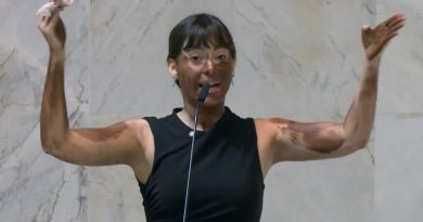 MP avalia foro para investigar deputada por ‘blackface’