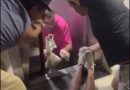 Mãe e filhos feridos em queda de elevador em João Pessoa Mãe e filhos feridos em queda de elevador em João Pessoa
