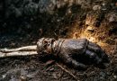 Mão de Ferro Medieval: Prótese Rara Revela Avanços na Europa do Século XV