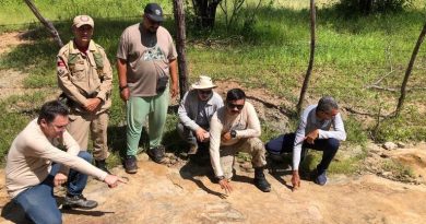 Pegada Gigante em Sousa: Maior Marca de Dinossauro do Brasil?