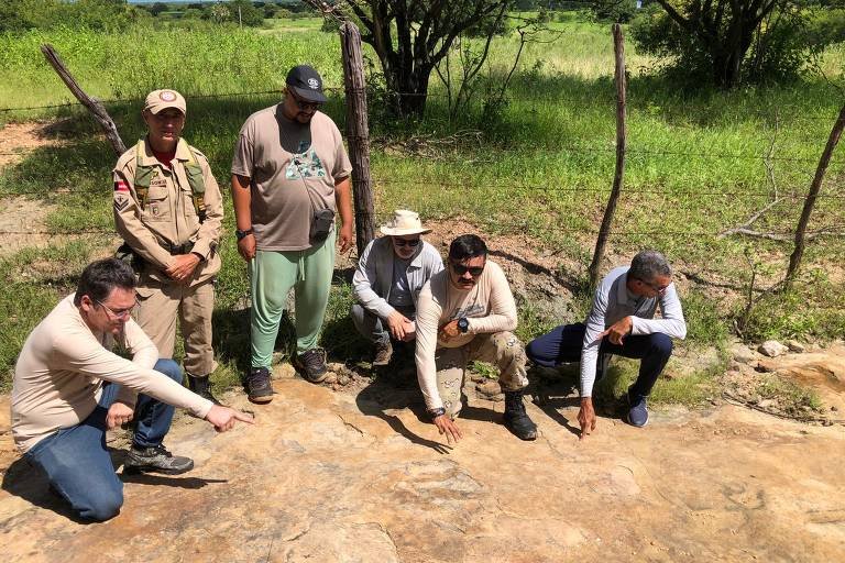 Pegada Gigante em Sousa: Maior Marca de Dinossauro do Brasil?
