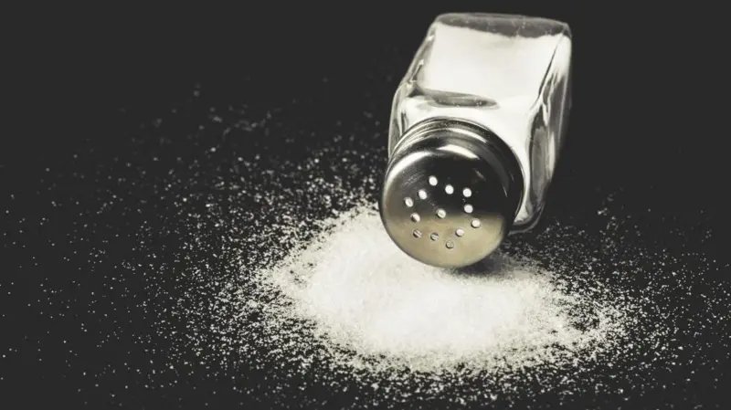 O Poder do Sal: Por Que Nosso Cérebro Deseja o Sabor Salgado?