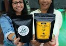Café e Uva: Brejo Paraibano Renasce com Produção Industrial