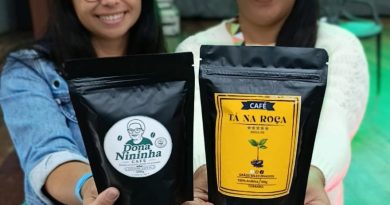 Café e Uva: Brejo Paraibano Renasce com Produção Industrial